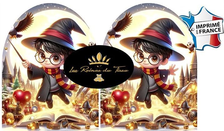 gant magicien