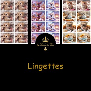 categorie lingettes hiver